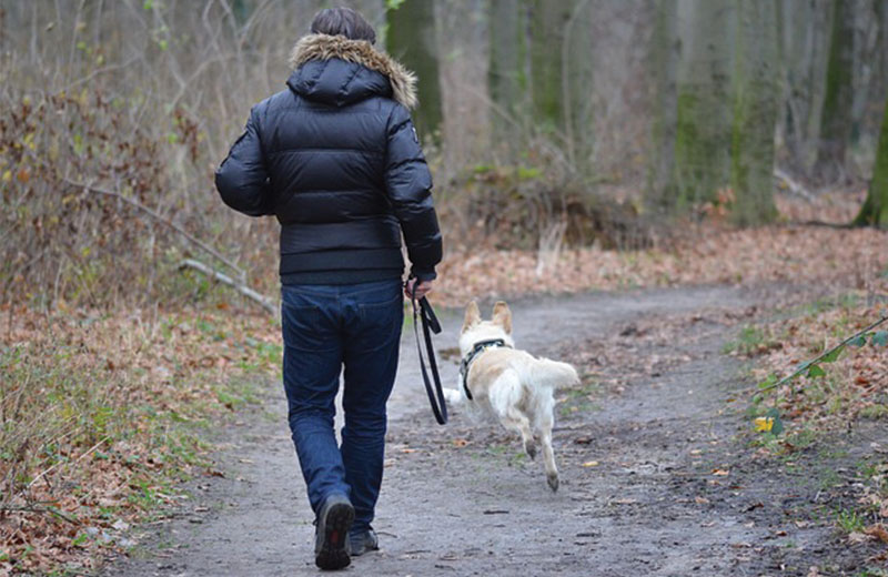person walking a dog on a trail